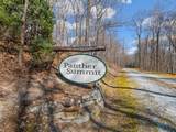 P 1&2 Panther Summit Drive - Photo 1