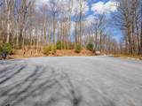 P 1&2 Panther Summit Drive - Photo 5