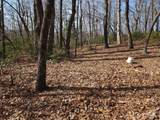Lot 77 Three Bridges Drive - Photo 13