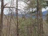 0000 Wildlife Trail - Photo 1