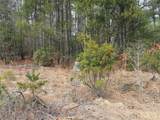 0000 Wildlife Trail - Photo 2
