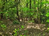 216 Bent Pine Trace - Photo 4