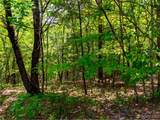 LOT 2009 Deep Gap Farm Road - Photo 5