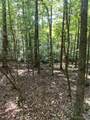 2790 Great Falls Highway - Photo 35