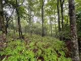 TBD Tellico Trail - Photo 5