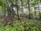 TBD Tellico Trail - Photo 6