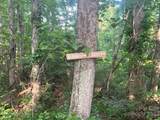 9999 Davis Cove Road - Photo 13