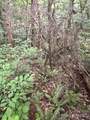9999 Davis Cove Road - Photo 14