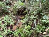 9999 Davis Cove Road - Photo 7