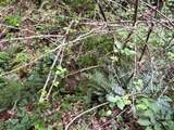 9999 Davis Cove Road - Photo 8