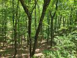 Lot 81, 82, & 88 Walnut Lane - Photo 2