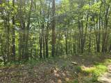 Lot 81, 82, & 88 Walnut Lane - Photo 6