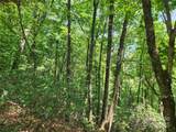 Lot 117, 118, & 132 Summit Court - Photo 2