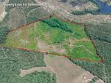 0 Black Creek Church Road - Photo 4