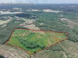 0 Black Creek Church Road - Photo 6