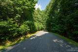 317 Boundary Tree Pass - Photo 8