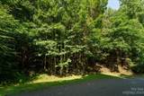 317 Boundary Tree Pass - Photo 9