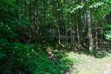 317 Boundary Tree Pass - Photo 10