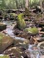 619 Speckled Feather Pass - Photo 1