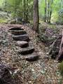 619 Speckled Feather Pass - Photo 21