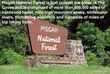 3.32 acres Lot 74 Round Mountain Parkway - Photo 47