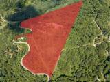 00 Crabtree Mountain Road - Photo 3