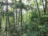 Lot 29 Linville Drive - Photo 5