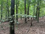 0 Fox Mountain Road - Photo 3