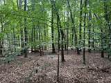 0 Fox Mountain Road - Photo 4