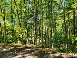 00 Loblolly Way - Photo 1