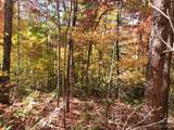 00 Angel Of The Lake Drive - Photo 4