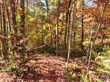 00 Angel Of The Lake Drive - Photo 5