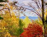 1.34 acres, Lot 234 Waterfall Lane - Photo 1