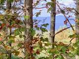 1.34 acres, Lot 234 Waterfall Lane - Photo 4