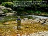 1.34 acres, Lot 234 Waterfall Lane - Photo 43
