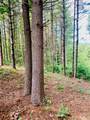 1.34 acres, Lot 234 Waterfall Lane - Photo 8