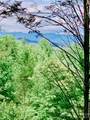 1.34 acres, Lot 234 Waterfall Lane - Photo 10
