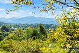 1231 Baileys Branch Road - Photo 24