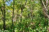 1231 Baileys Branch Road - Photo 30