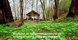 1 acre, Lot G47 Hitching Post Trail - Photo 30