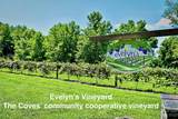 1 acre, Lot G47 Hitching Post Trail - Photo 40