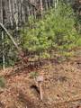 0000 Juniper Berry Lane - Photo 1