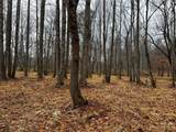 Lot 150 Lookout Dam Road - Photo 11