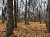 Lot 150 Lookout Dam Road - Photo 13