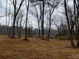 Lot 150 Lookout Dam Road - Photo 15