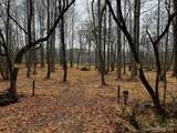 Lot 150 Lookout Dam Road - Photo 5