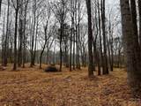Lot 150 Lookout Dam Road - Photo 8