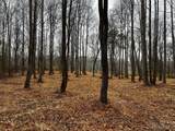 Lot 150 Lookout Dam Road - Photo 10
