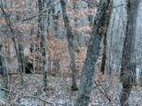000 Weaver Lane - Photo 1