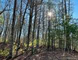 71 Turkey Trot Trail - Photo 1